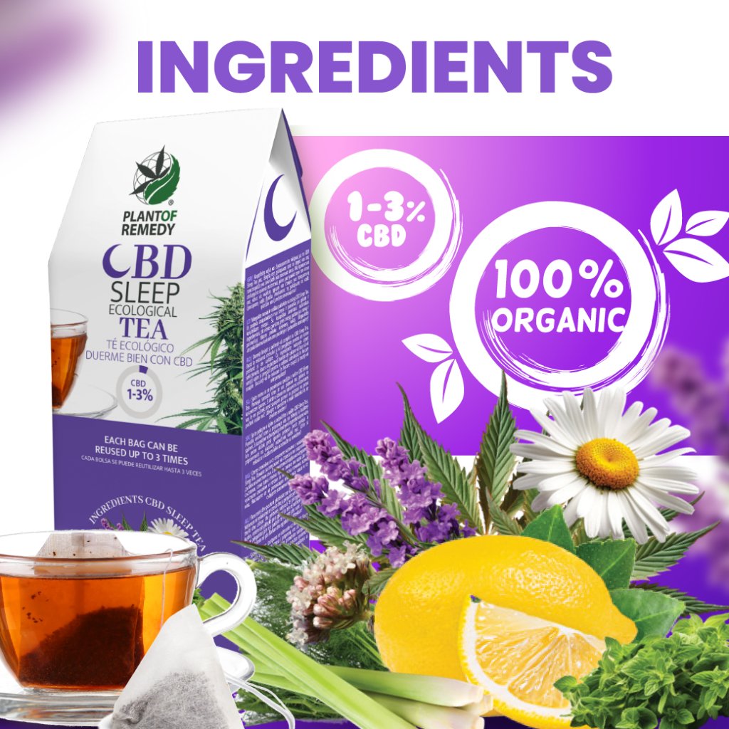 PLANT OF REMEDY Sleep Tea Organic - 10 bags